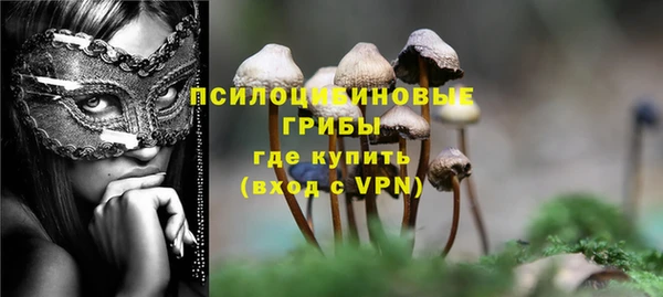 сатива Магас