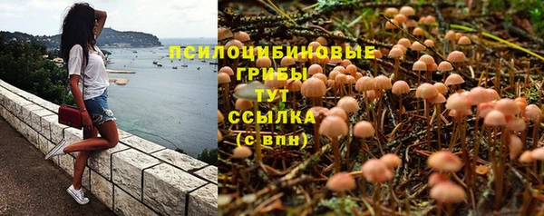 не бодяженный Медногорск