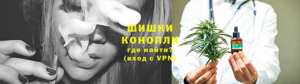 сатива Магас