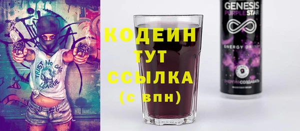 сатива Магас