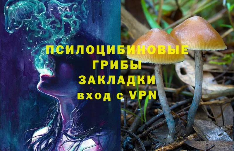 купить   darknet состав  Галлюциногенные грибы GOLDEN TEACHER  Остров 